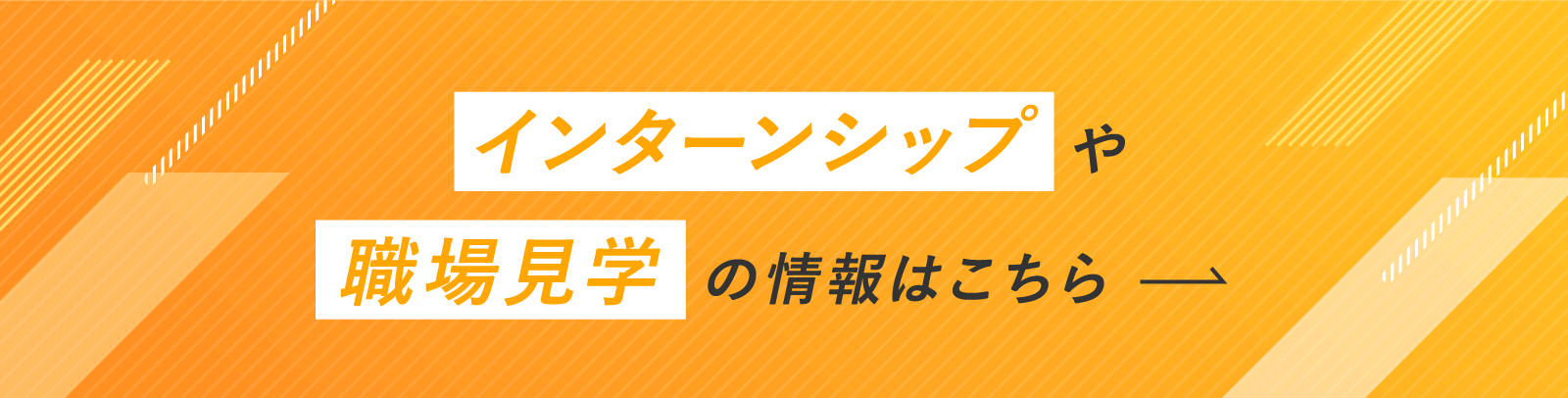 インターンシップや職場見学の情報はこちら