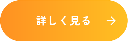 詳しく見る